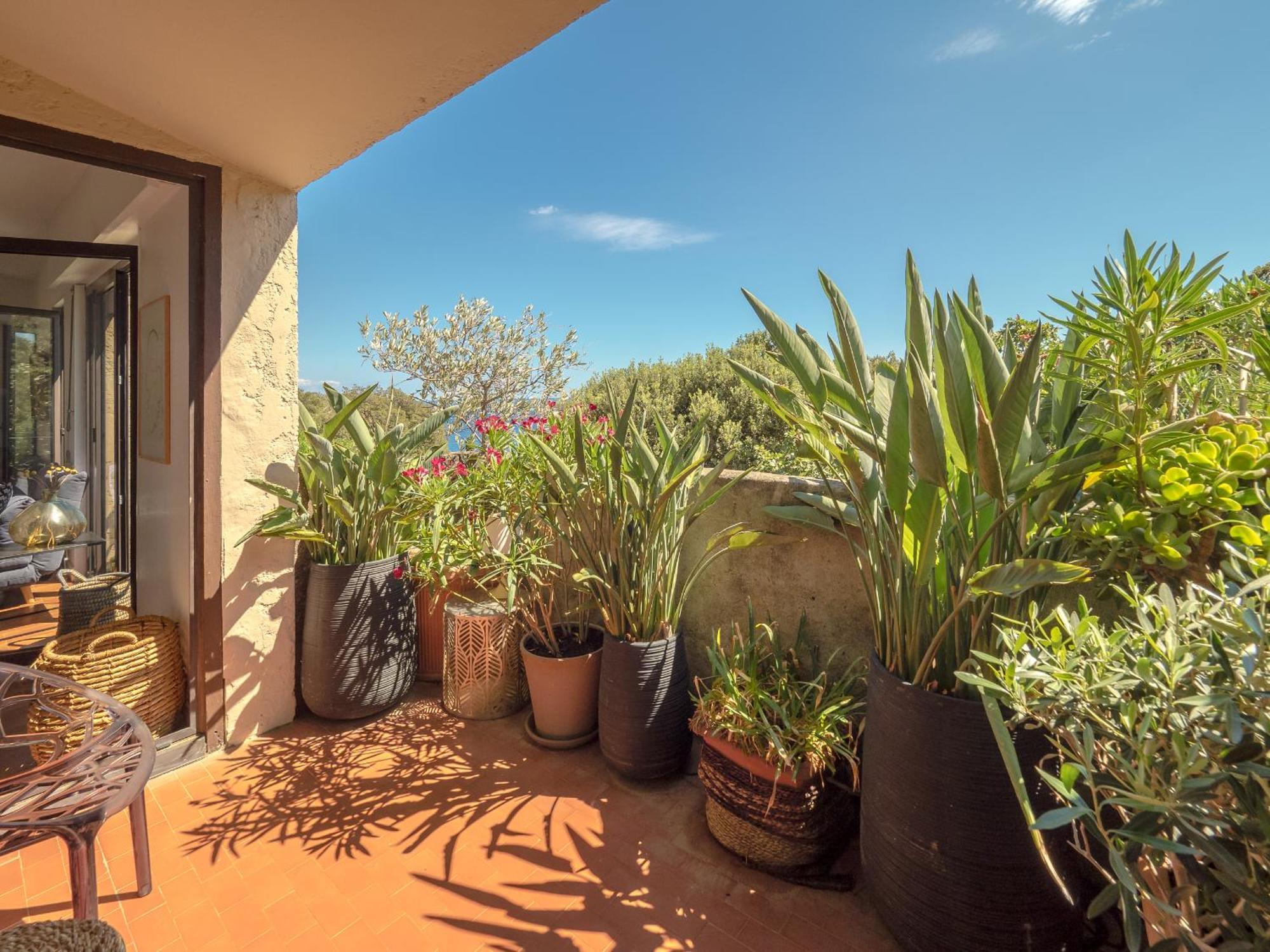 Residence Les Sources Brando Екстериор снимка
