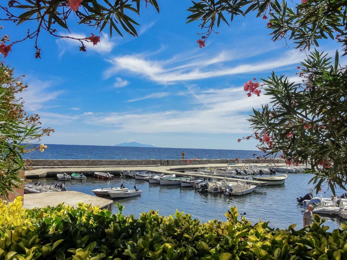 Residence Les Sources Brando Екстериор снимка